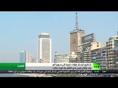 سامح شكري يوضح إمكانية إرسال مساعدات إلى سورية