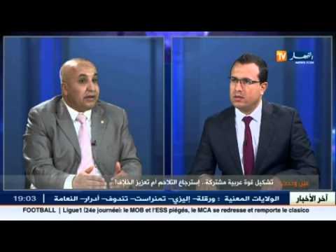 بالفيديو مراقبون يعلقون على تشكيل القوة العربية المشتركة