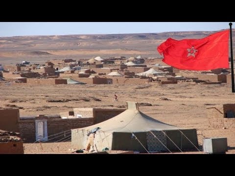 شاهد الجديد في قضية الصحراء وحضور  كوهلر أمام البرلمان الأوروبي