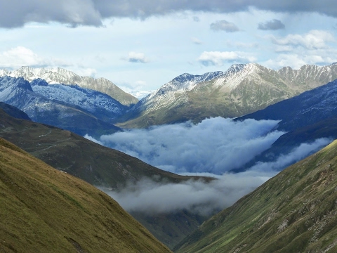 شاهد  بث مباشر لمباراة أولمبيك آسفي والوداد الرياضي