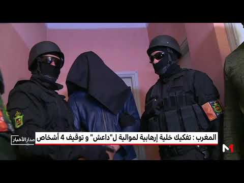 شاهدتفاصيل عملية إيقاف عناصر إرهابية موالية لـ داعش