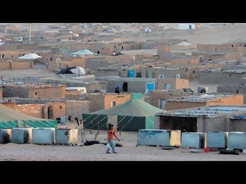 شاهد صحافي إسباني يفضح البوليساريو ويكشف حقائق خطيرة بشأن المخيمات