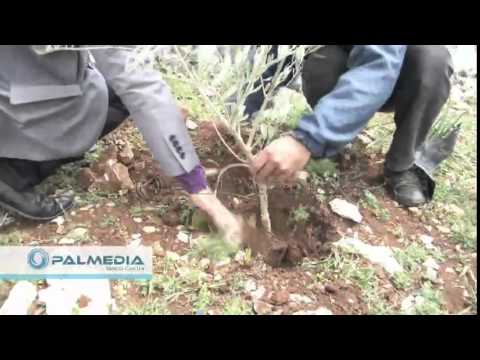 شاهد قمع فعالية إحياء يوم الأرض في وادي فكين