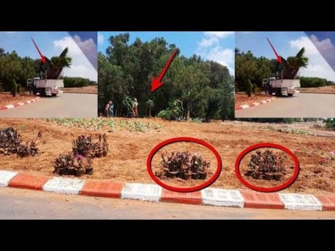 شاهد مسؤولو القنيطرة يخادعون الملك أثناء زيارته