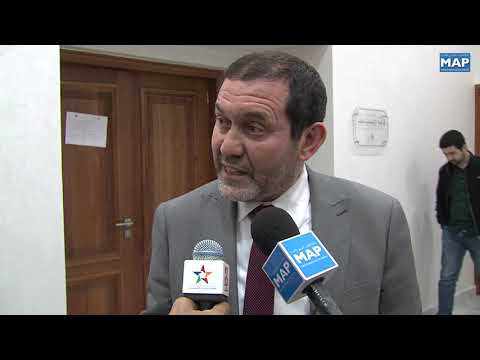 شاهد محمد بوسعيد يُقدّم عرضًا بشأن صندوق التماسك الاجتماعي