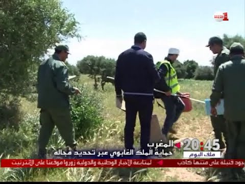 بالفيديو الأدوار الاجتماعية للمِلك الغابوي