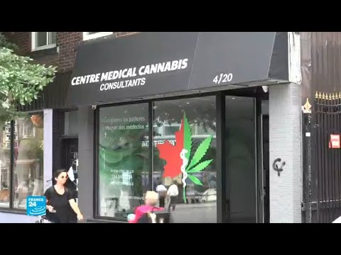 خطوة حاسمة لتشريع القنب الهندي في كندا