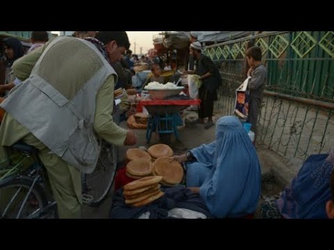 شاهد طالبان توافق للمرة الأولى على وقف إطلاق النار خلال عيد الفطر