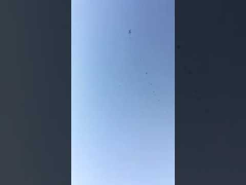 شاهد  كيف نجى مظلي بالقوات المسلحة الملكية من الموت