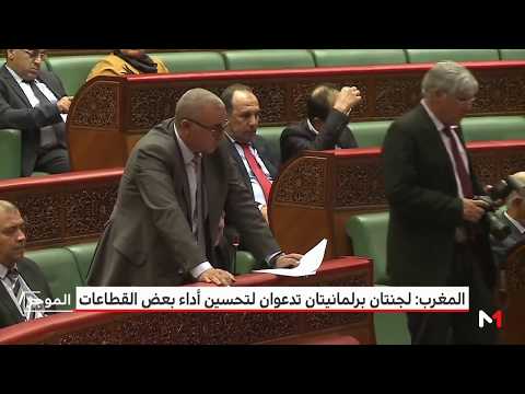 شاهد لجنة لتقصي الحقائق تدعو إلى تحسين أداء بعض القطاعات