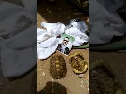 شاهد  العثور على سحر بداخل فكرون في أحد مقابر الرباط