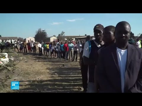 شاهد مشاركة قياسية في الانتخابات في زيمبابوي لاختيار رئيس ونواب وأعضاء مجالس محلية