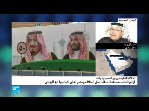 محلل سياسي يكشف سبب عدم اتخاذ السعودية خطوات مماثلة مع ألمانيا والسويد