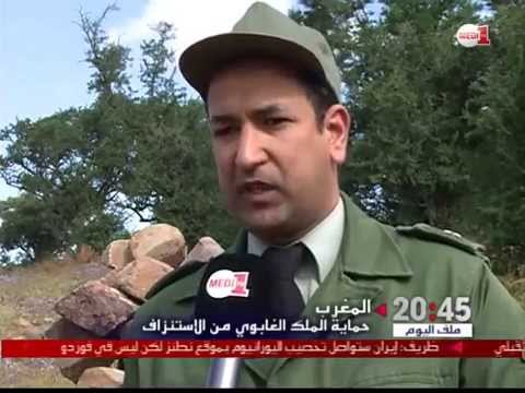 شاهد المغرب يكثف جهوده لحماية موارد الغابات من الاستنزاف