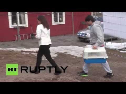 بالفيديو لاجئة سورية تلتقي قطتها ميلا بعد فراق طويل