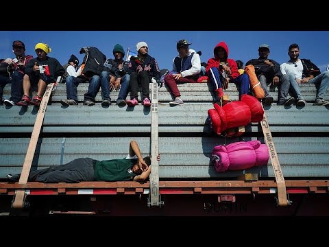 مهاجرون يستقلّون شاحنات دجاج للوصول إلى الحدود الجنوبية بين الولايات المتحدة والمكسيك