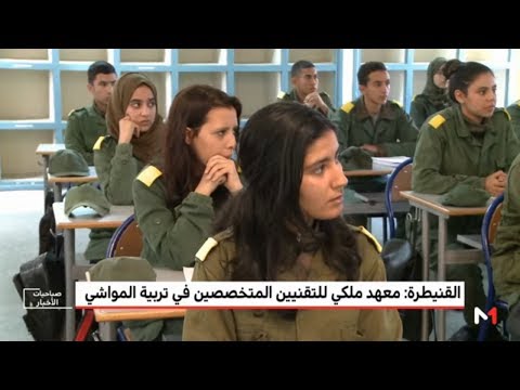 شاهدالمعهد الملكي للتقنيين في تربية المواشي واحدًا من أهم المعاهد في القنيطرة