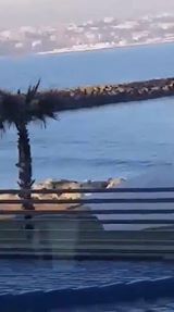 شاهد عمليات هجرة غير شرعية في شاطئ الغندوري بواسطة الدراجات المائية