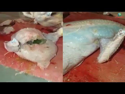 شاهد شخص يجد شيئًا غريبًا داخل دجاجة في وجدة