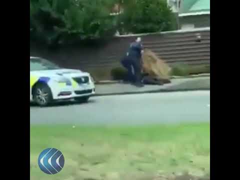 شاهد لحظة القبض على أحد منفذي اعتداء المسجدين في نيوزيلندا