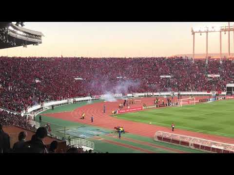 شاهد جمهور الوداد يبهر العالم ويردد أميغو أمام صن داونز