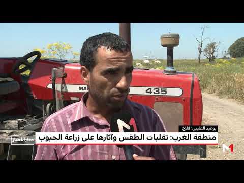 شاهد تضرر المحاصيل الزراعية في منطقة الغرب المغربي بسبب الطقس
