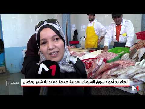 شاهد إقبال متزايد على الأسماك في مدينة طنجة المغربية
