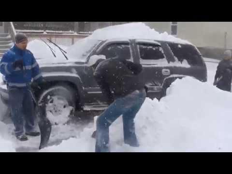 فيديو مغتربون يرسلون التحية إلى ذويهم من أميركا