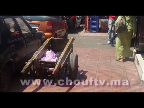 شاهد كيف يتم تحميل دجاج ليكاتاكلو بالمغرب