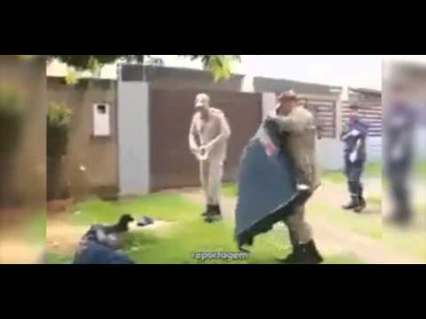 كلب يدافع عن صاحبه المصاب