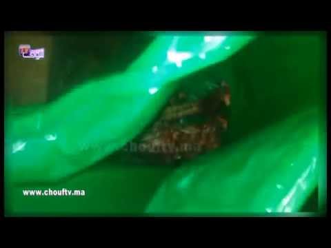 فيديو العثور على جمجمة داخل كيس بلاستيكي في البيضاء