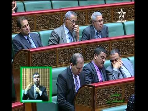 شاهد الشوباني يكشف عن تفاصيل تحديد الملك الغابوي