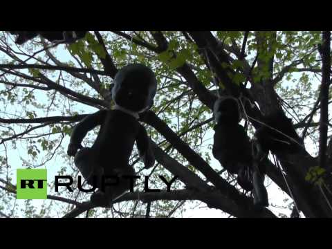 شاهد دُمى سوداء معلقة على الأشجار في بالتيمور