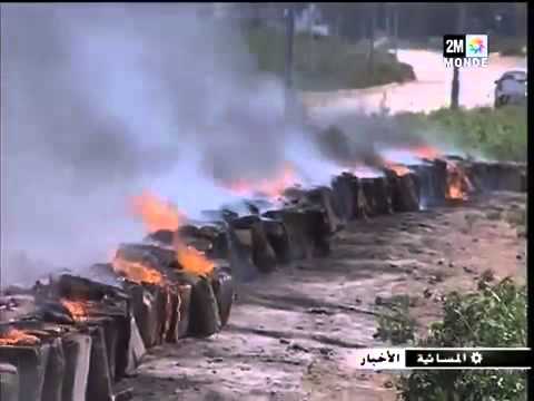 بالفيديو إحراق أطنان من المواد المخدرة في طنجة