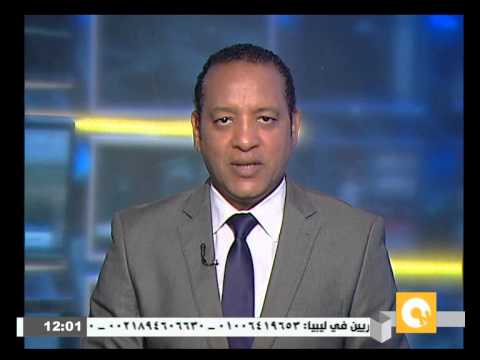 بالفيديو الرئيس السيسي يهنىء ولي العهد السعودي وولي ولي العهد بتنصيبهما