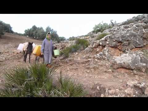 بالفيديو نداء إلى أصحاب القلوب الرحيمة