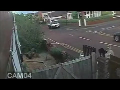 بالفيديو  سيدة تضحك على إلتهام كلبها لقطة الجيران