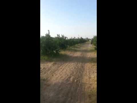 شاهد القبض على حوثي تسلل لمزرعة سعودية