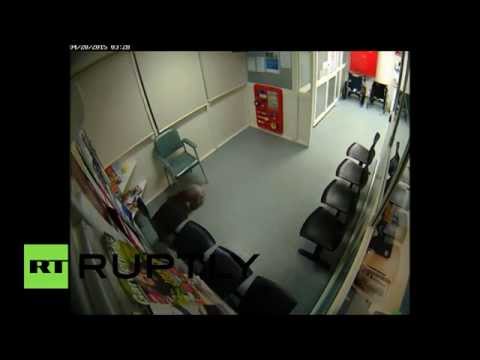 شاهد الكوالا يتجول داخل قسم طوارئ مستشفى هاملتون