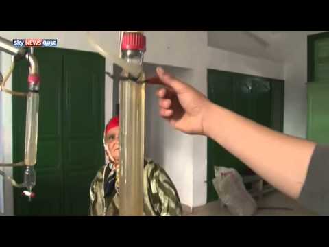 بالفيديو تونسيات ينتجن الزيوت من النباتات