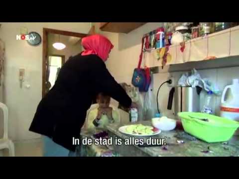 بالفيديو هولندا تتراجع عن إلغاء الاتفاق المبرم بينها وبين المغرب