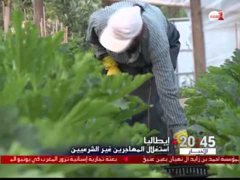 بالفيديو استغلال المهاجرين غير الشرعيين