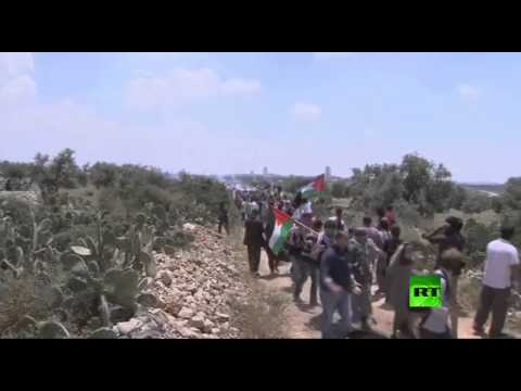 بالفيديو فعاليات إحياء ذكرى النكبة المشؤومة في مناطق الضفة الغربية