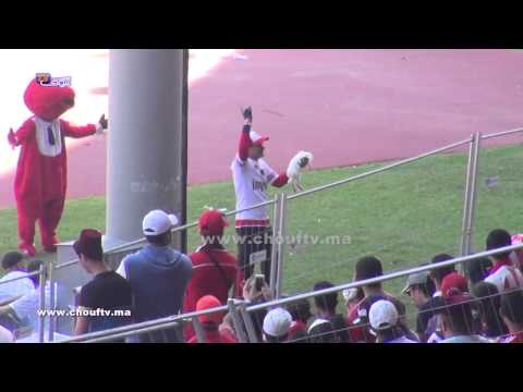 بالفيديو مشجع الودادي يتصرف على نحو غريب مع أرنب