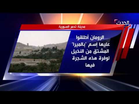 بالفيديو تعرف على تدمر واهم معالمها