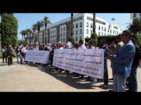 بالفيديو المحاسبون يطالبون بمبدأ عدم رجعية القوانين