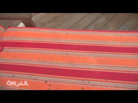 السماء تمطر برازًا في شيكاغو