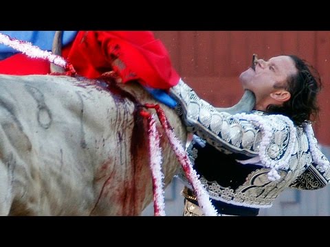 تعرف على حقائق شنيعة عن مصارعة الثيران