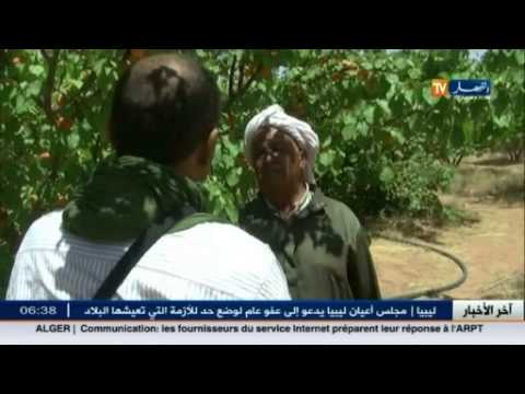فيديو مشاكل الفلاحة في ولاية البيضة