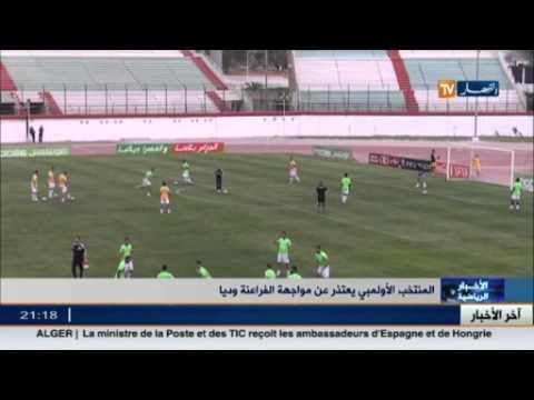 بالفيديو الفريق الأوليمبي الجزائري يعتذر لنظيره المصري على المواجهة الودية